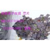 专业收购手机驱动IC手机主板配件13242911630